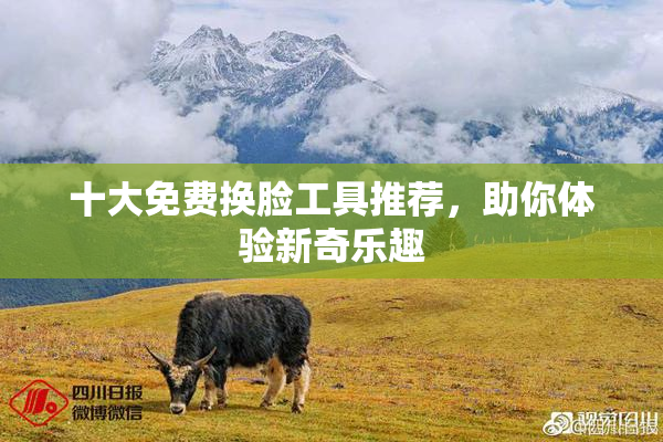 十大免费换脸工具推荐，助你体验新奇乐趣
