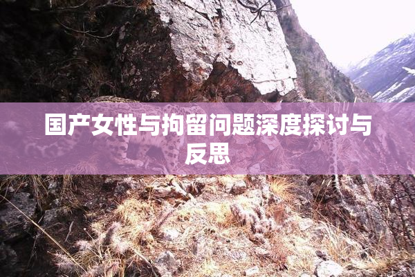 国产女性与拘留问题深度探讨与反思