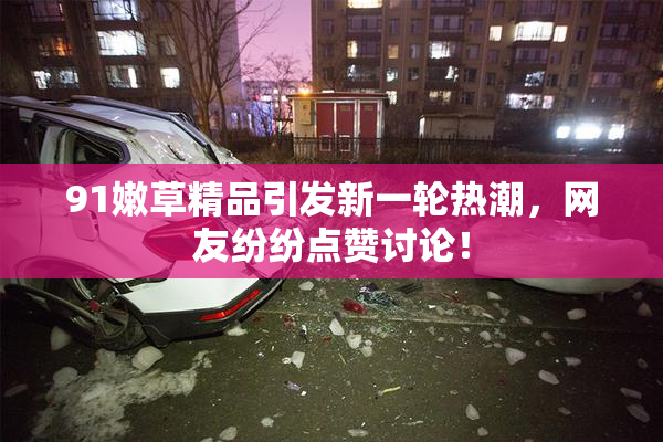 91嫩草精品引发新一轮热潮，网友纷纷点赞讨论！