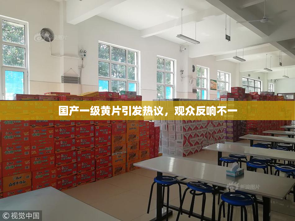 国产一级黄片引发热议，观众反响不一