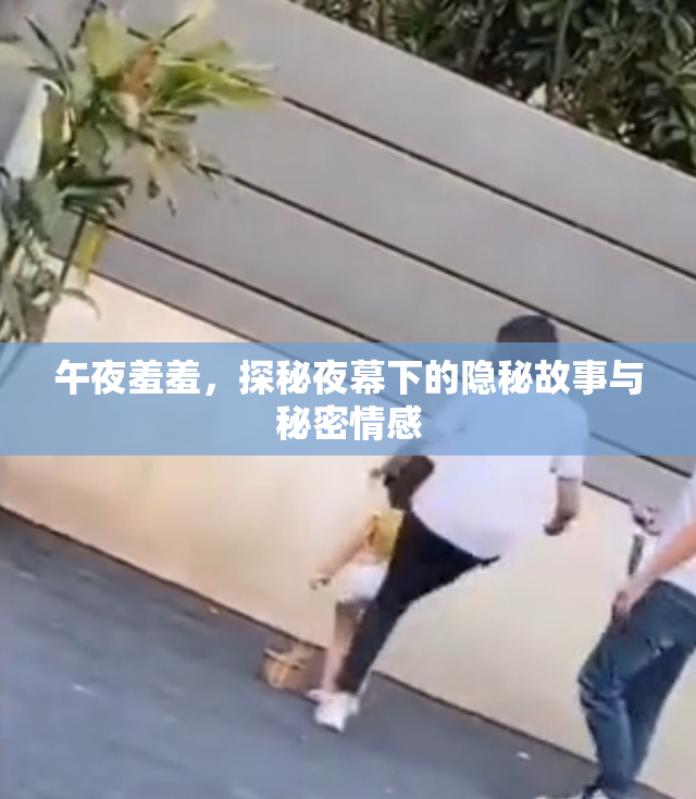 午夜羞羞，探秘夜幕下的隐秘故事与秘密情感