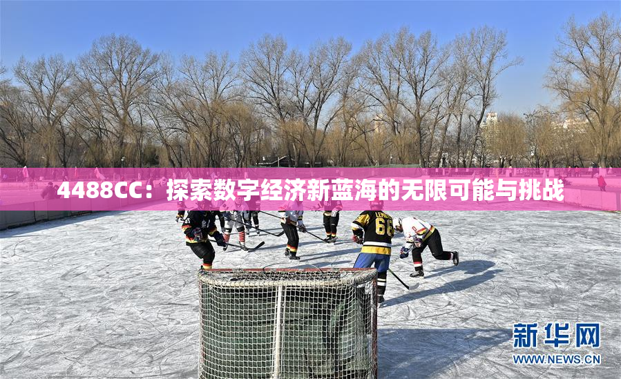 4488CC：探索数字经济新蓝海的无限可能与挑战