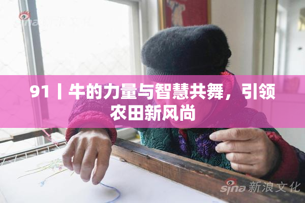 91丨牛的力量与智慧共舞，引领农田新风尚