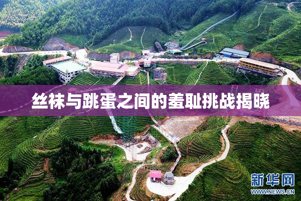 丝袜与跳蛋之间的羞耻挑战揭晓