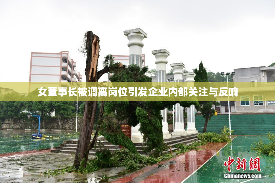 女董事长被调离岗位引发企业内部关注与反响