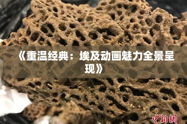 《重温经典：埃及动画魅力全景呈现》