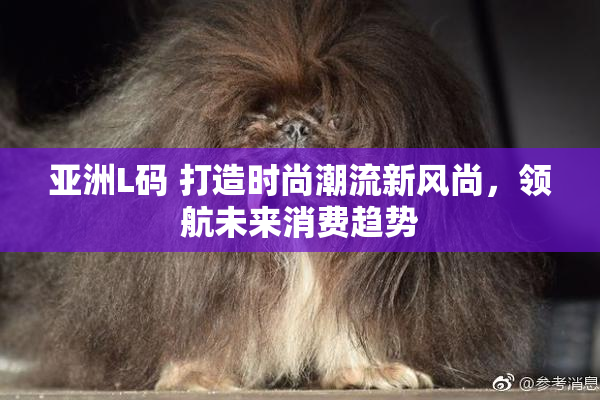 亚洲L码 打造时尚潮流新风尚，领航未来消费趋势