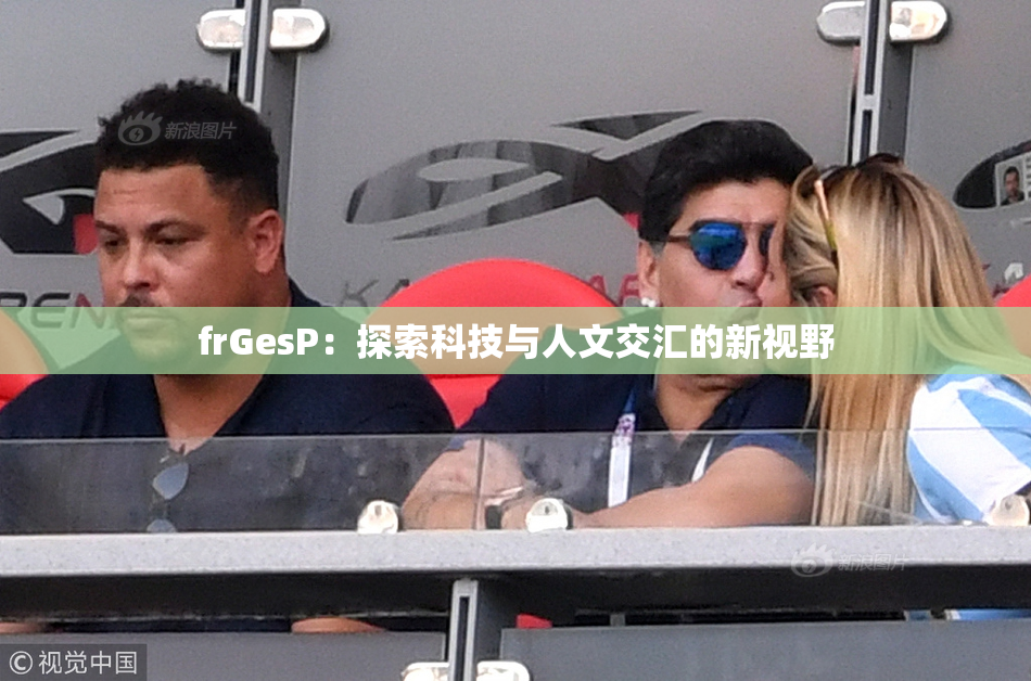 frGesP：探索科技与人文交汇的新视野