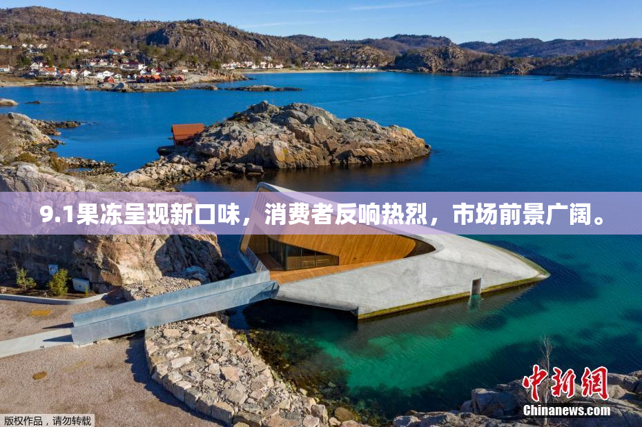 9.1果冻呈现新口味，消费者反响热烈，市场前景广阔。
