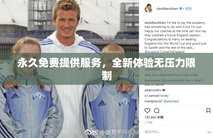 永久免费提供服务，全新体验无压力限制