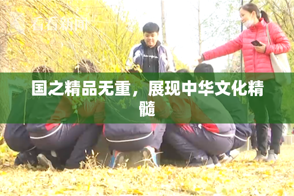 国之精品无重，展现中华文化精髓
