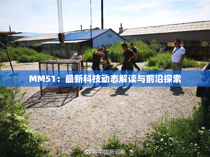 MM51：最新科技动态解读与前沿探索