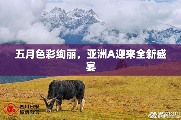 五月色彩绚丽，亚洲A迎来全新盛宴