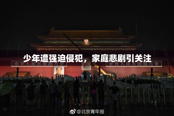 少年遭强迫侵犯，家庭悲剧引关注