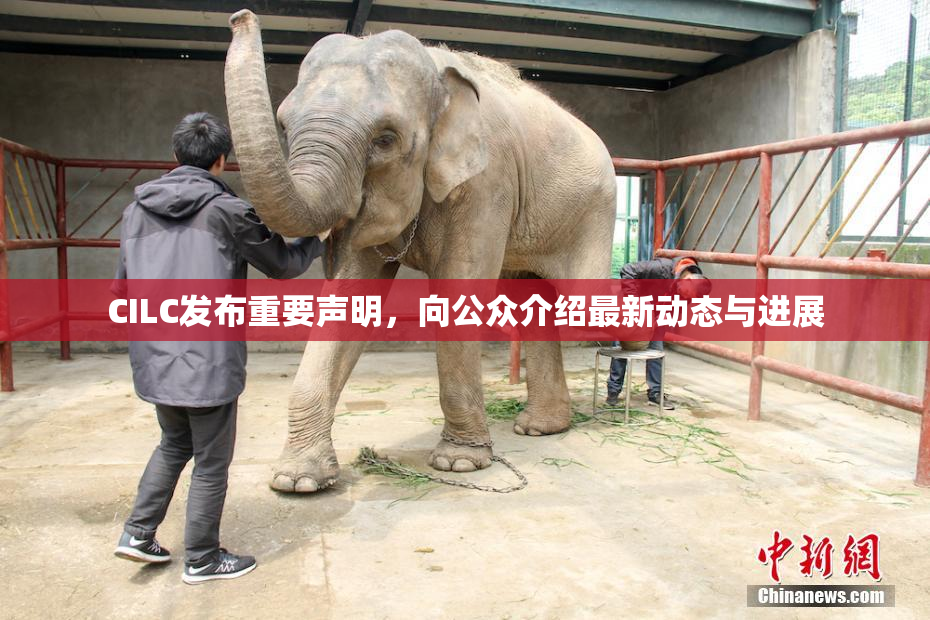 CILC发布重要声明，向公众介绍最新动态与进展