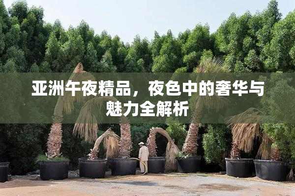 亚洲午夜精品，夜色中的奢华与魅力全解析
