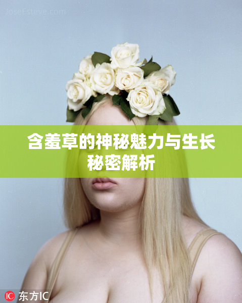含羞草的神秘魅力与生长秘密解析