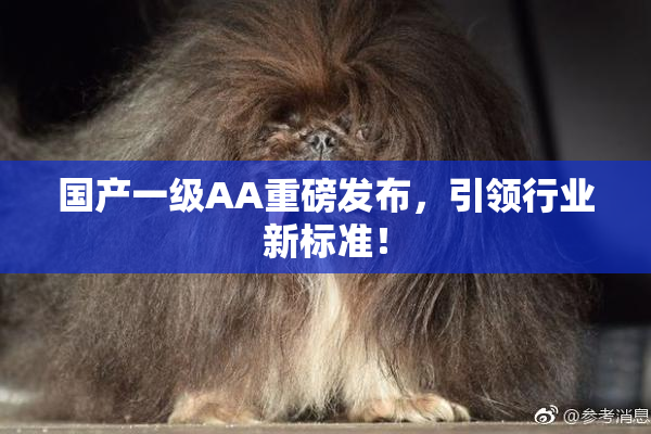国产一级AA重磅发布，引领行业新标准！