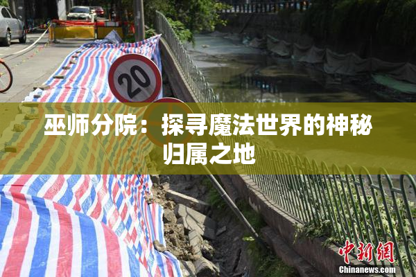 巫师分院：探寻魔法世界的神秘归属之地
