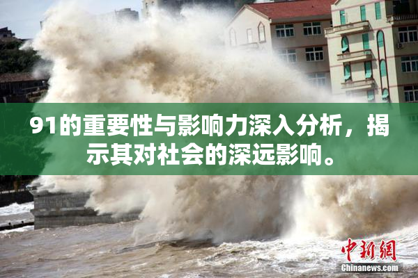 91的重要性与影响力深入分析，揭示其对社会的深远影响。