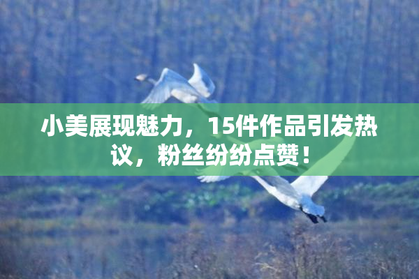小美展现魅力，15件作品引发热议，粉丝纷纷点赞！