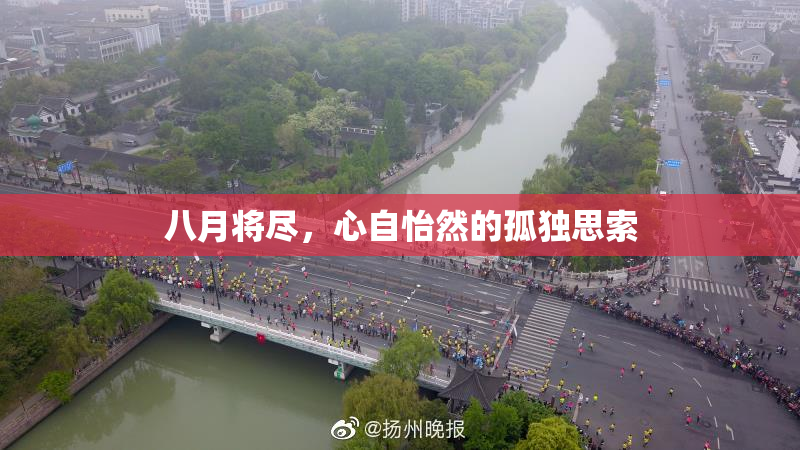 八月将尽，心自怡然的孤独思索