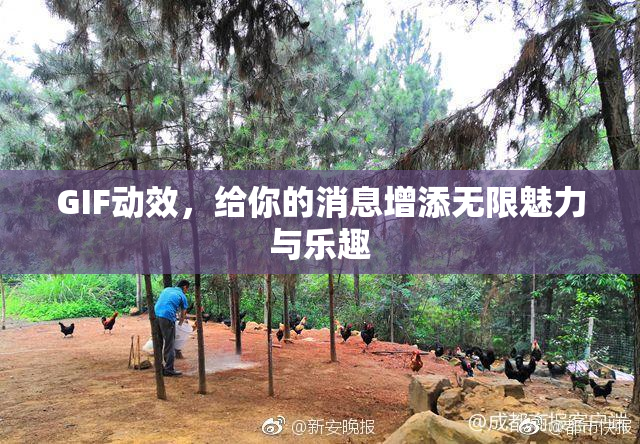 GIF动效，给你的消息增添无限魅力与乐趣