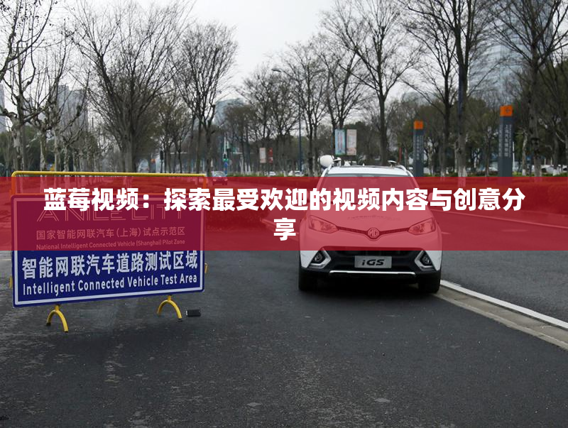 蓝莓视频：探索最受欢迎的视频内容与创意分享