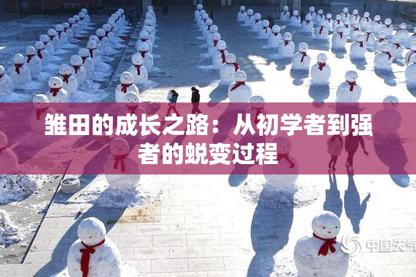 雏田的成长之路：从初学者到强者的蜕变过程