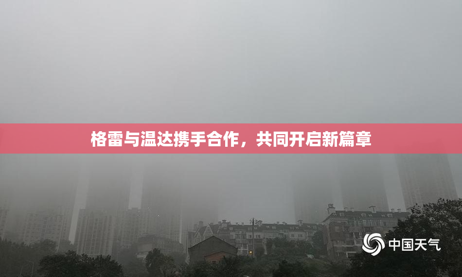 格雷与温达携手合作，共同开启新篇章