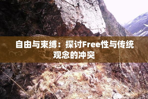 自由与束缚：探讨Free性与传统观念的冲突