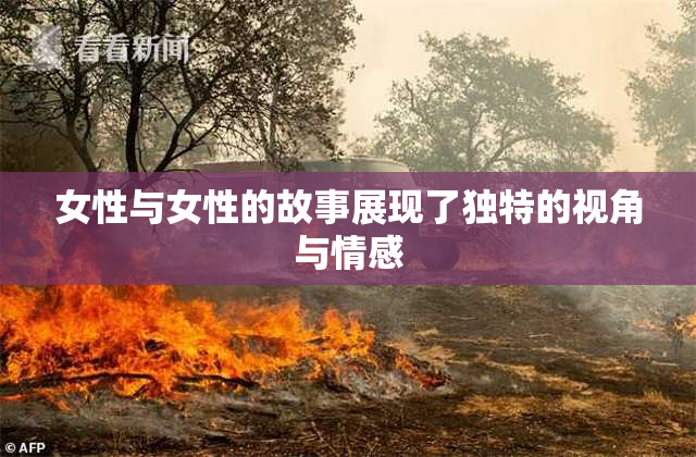 女性与女性的故事展现了独特的视角与情感