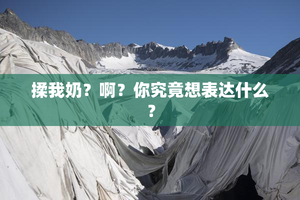揉我奶？啊？你究竟想表达什么？