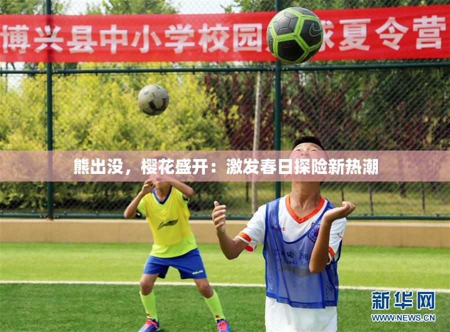 熊出没，樱花盛开：激发春日探险新热潮