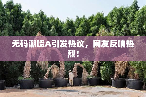 无码潮喷A引发热议，网友反响热烈！