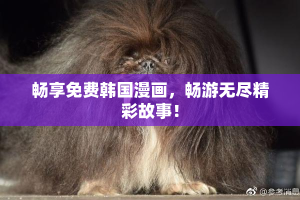 畅享免费韩国漫画，畅游无尽精彩故事！