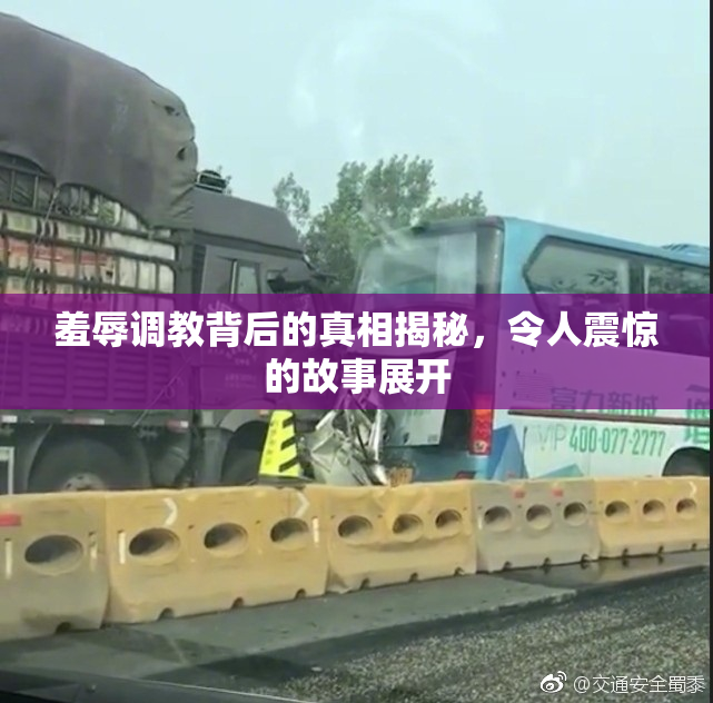 羞辱调教背后的真相揭秘，令人震惊的故事展开