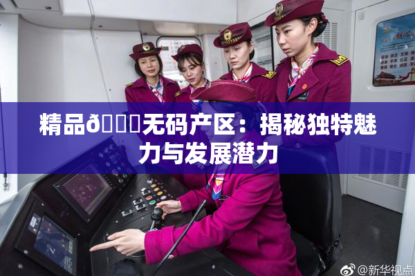 精品🌃无码产区：揭秘独特魅力与发展潜力