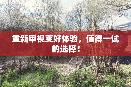 重新审视爽好体验，值得一试的选择！