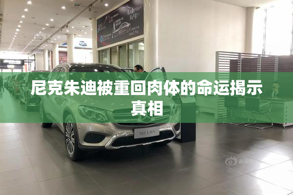 尼克朱迪被重回肉体的命运揭示真相