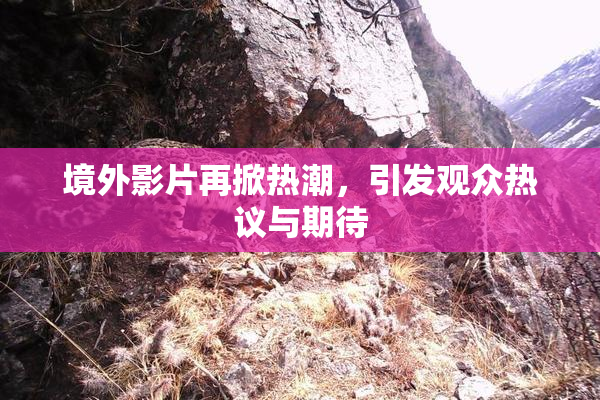 境外影片再掀热潮，引发观众热议与期待