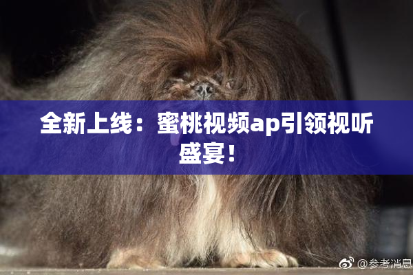 全新上线：蜜桃视频ap引领视听盛宴！
