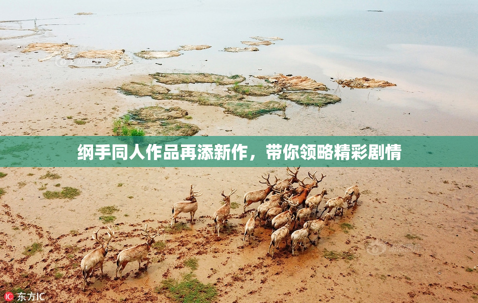 纲手同人作品再添新作，带你领略精彩剧情