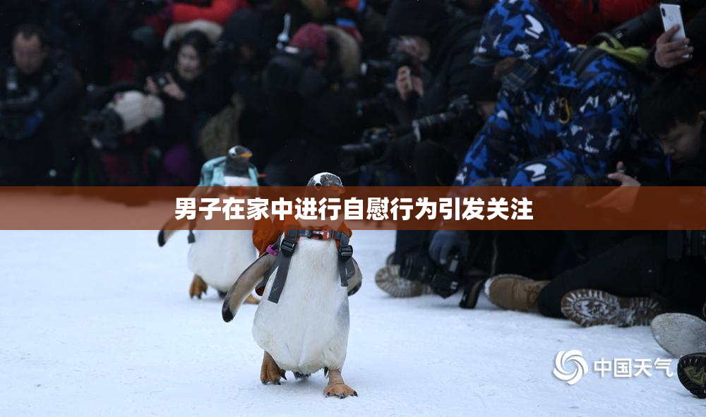 男子在家中进行自慰行为引发关注