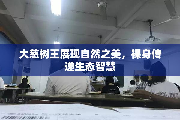 大慈树王展现自然之美，裸身传递生态智慧