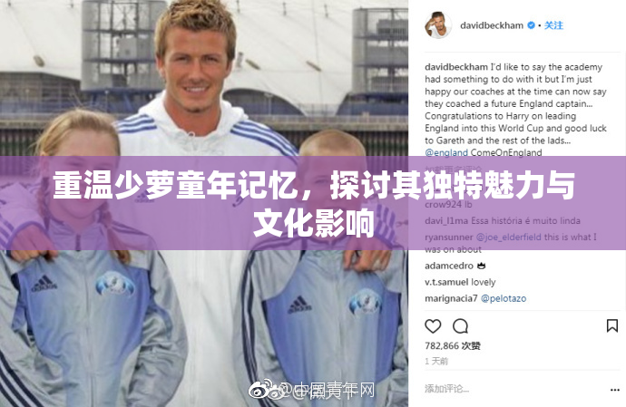 重温少萝童年记忆，探讨其独特魅力与文化影响