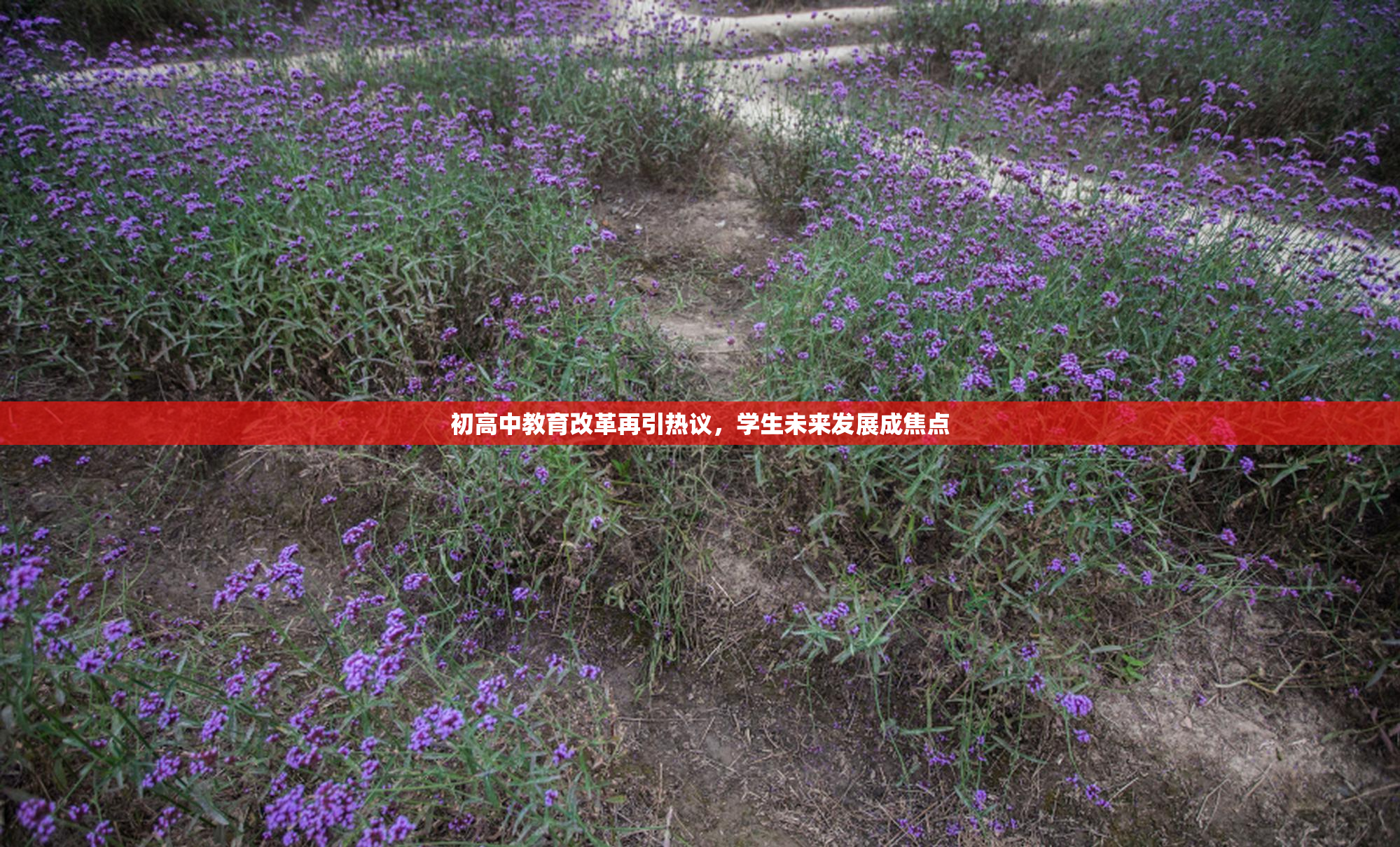 初高中教育改革再引热议，学生未来发展成焦点