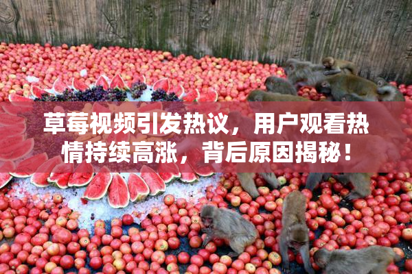 草莓视频引发热议，用户观看热情持续高涨，背后原因揭秘！