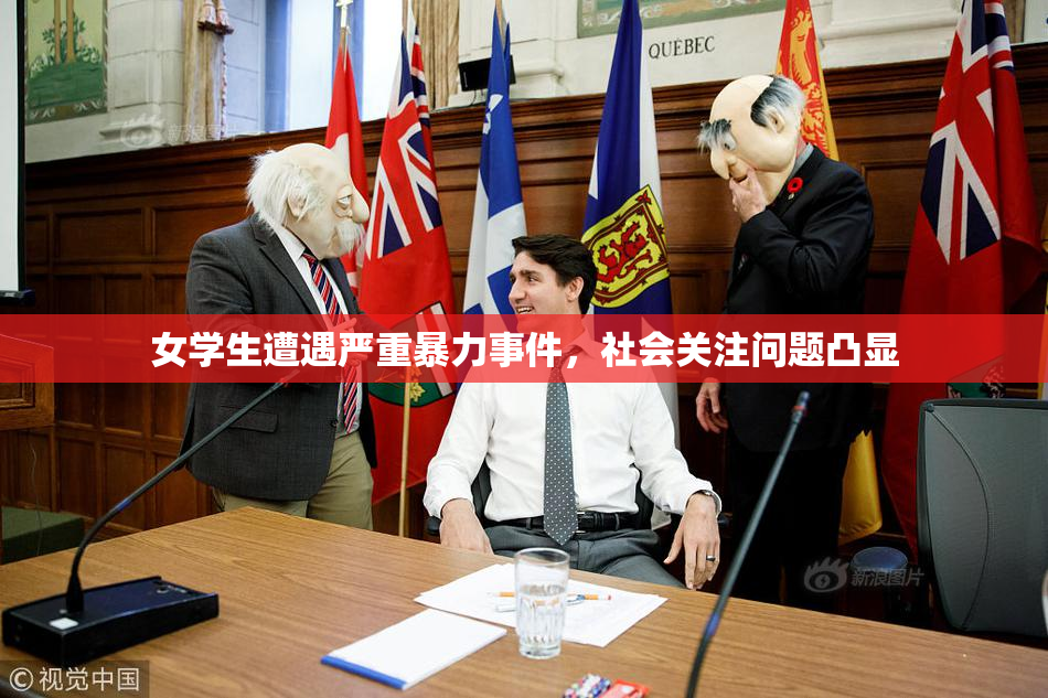 女学生遭遇严重暴力事件，社会关注问题凸显