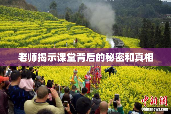 老师揭示课堂背后的秘密和真相